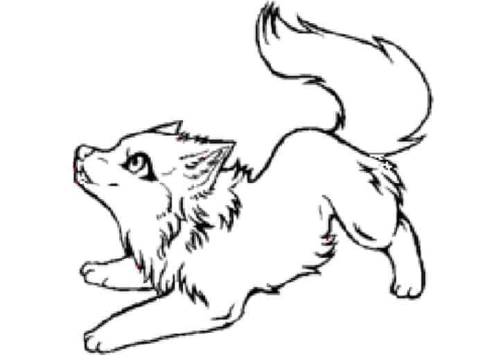 Cute Arctic Wolf Coloring Pages