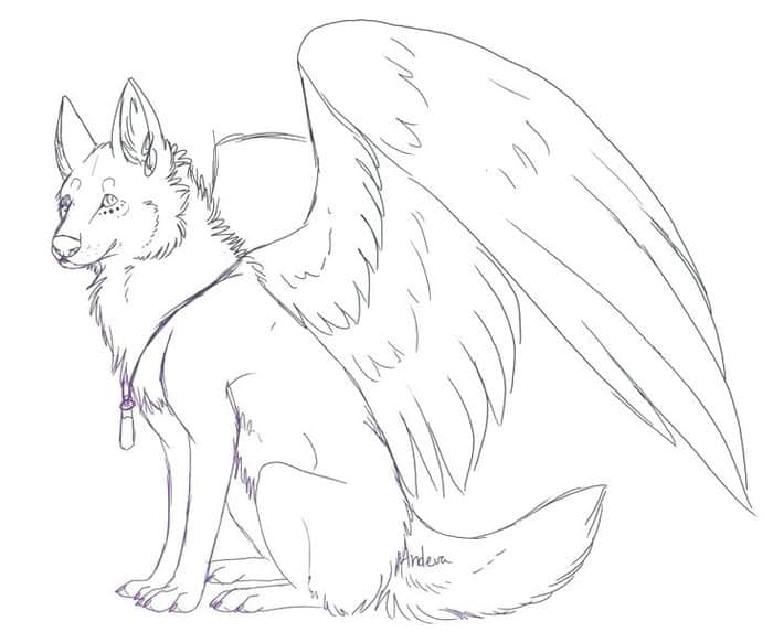 Cute Winged Wolf Coloring Pages