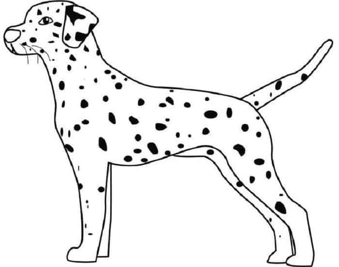 Dalmation Dog Coloring Pages