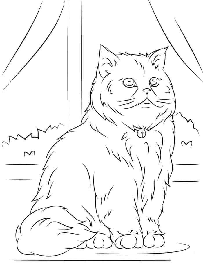 Detailed Cat Coloring Pages