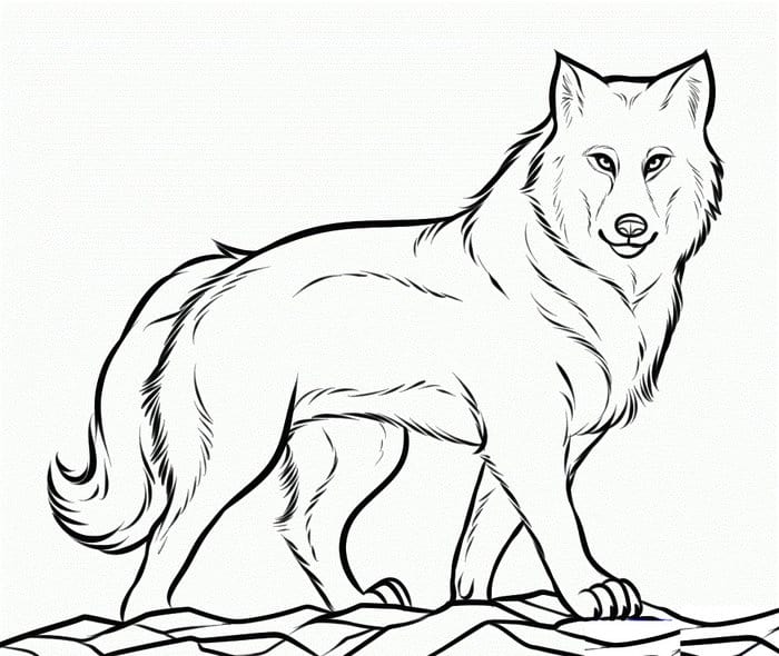 Detailed Wolf Coloring Pages