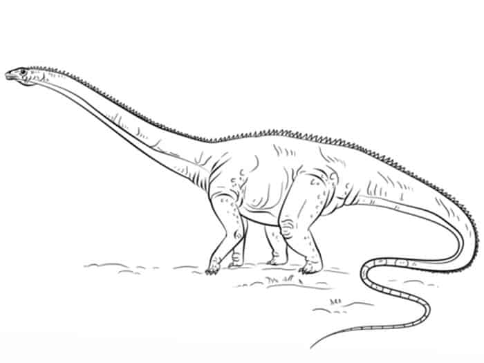 Diplodocus Kids Coloring Pages Dinosaur