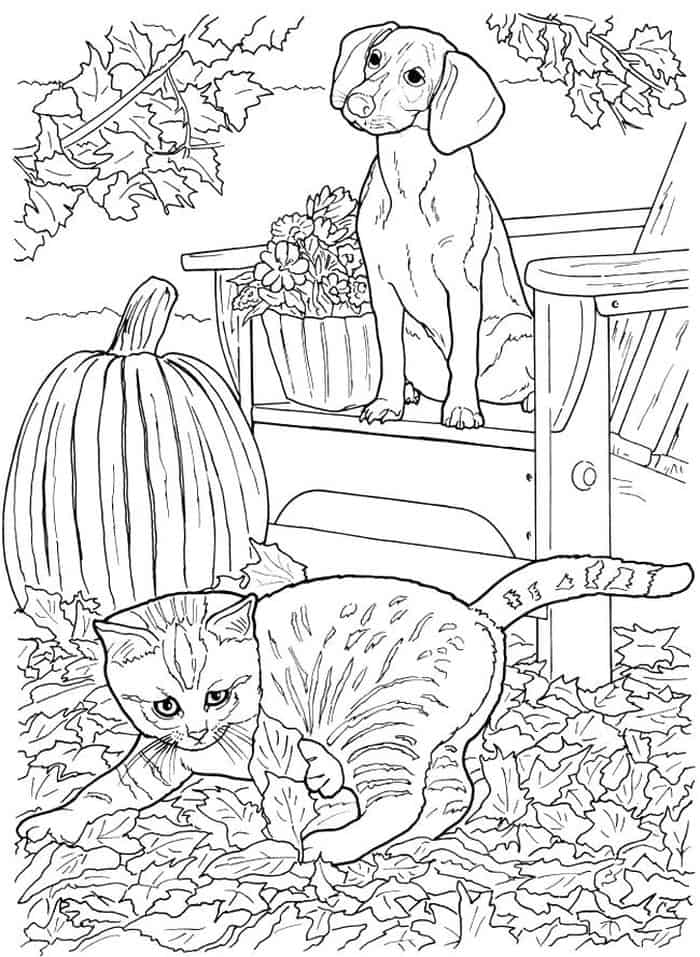 Dog And Cat Coloring Pages