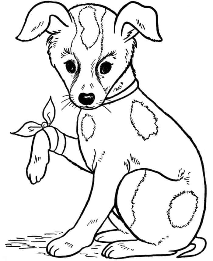 Dog And Puppies Coloring Pages