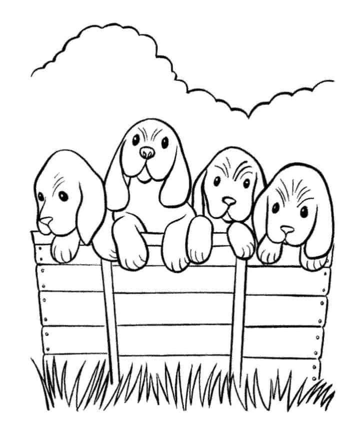 Dog Christmas Coloring Pages