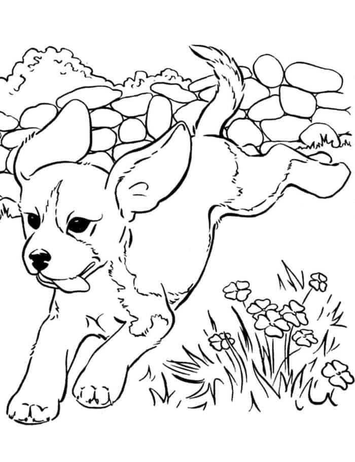 Dog Coloring Pages Realistic