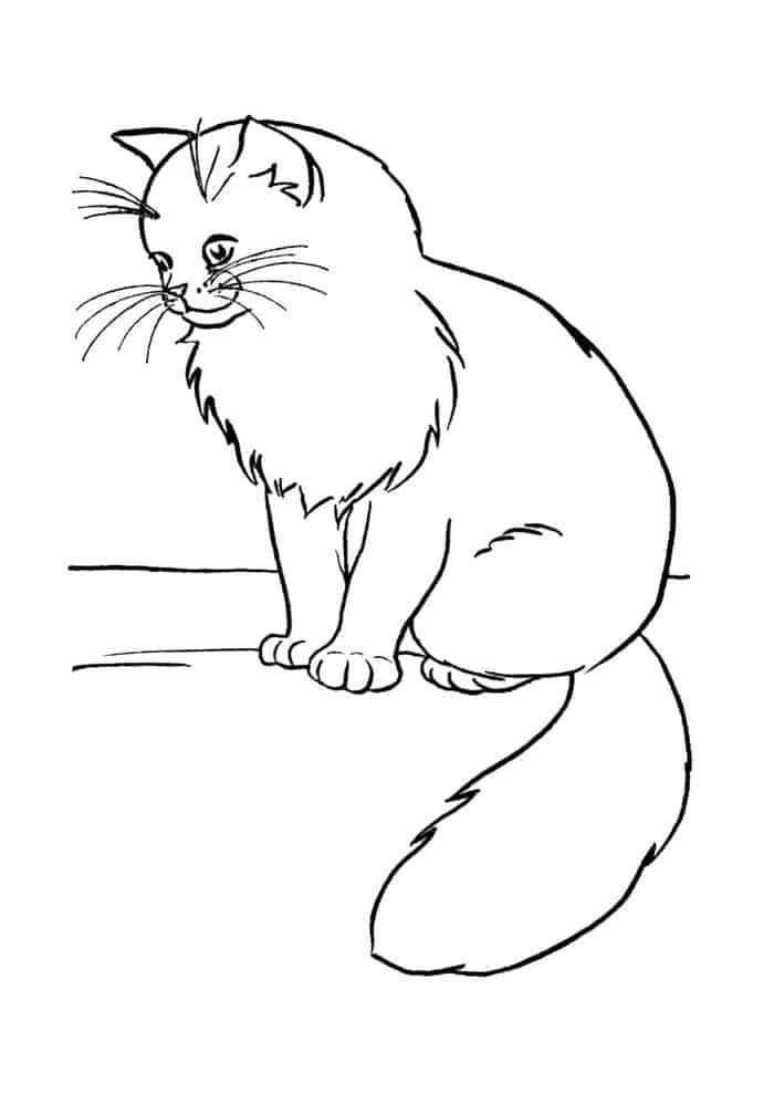 Fat Cat Coloring Pages