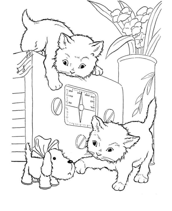 Free Coloring Pages Cat