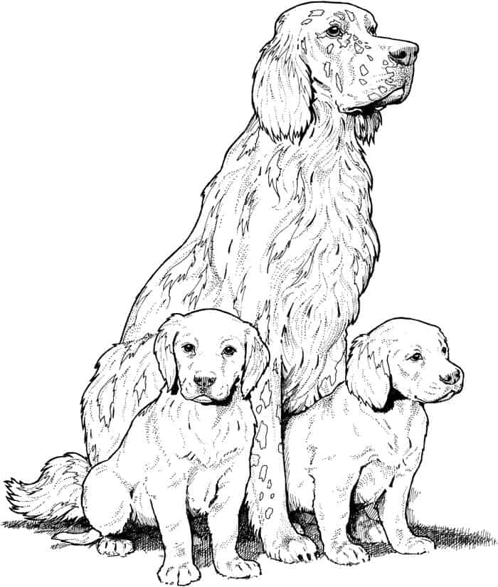 Free Dog Coloring Pages