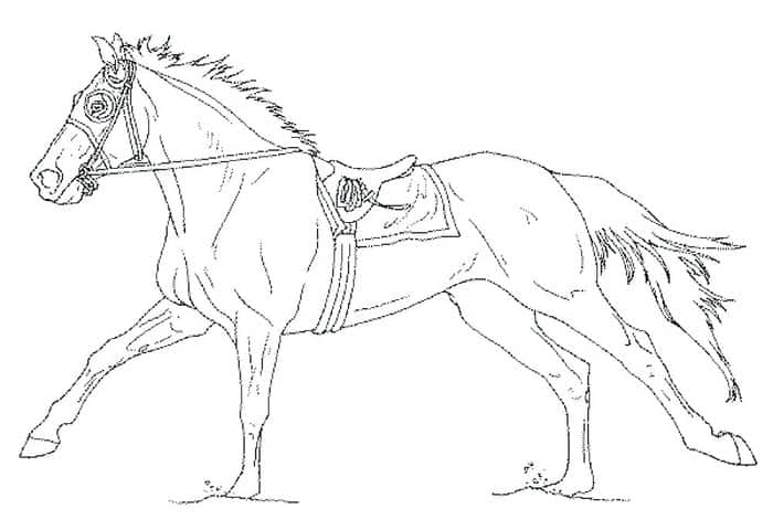 Free Horse Coloring Pages For Adults