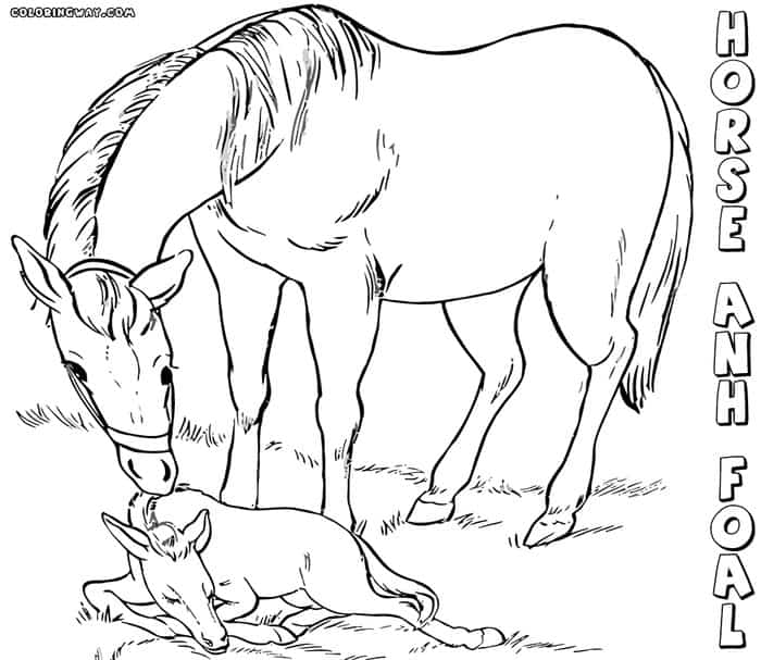 Free Horse Coloring Pages Online