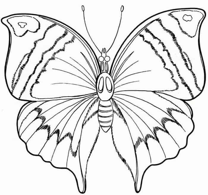 Free Printable Butterfly Coloring Pages Adults