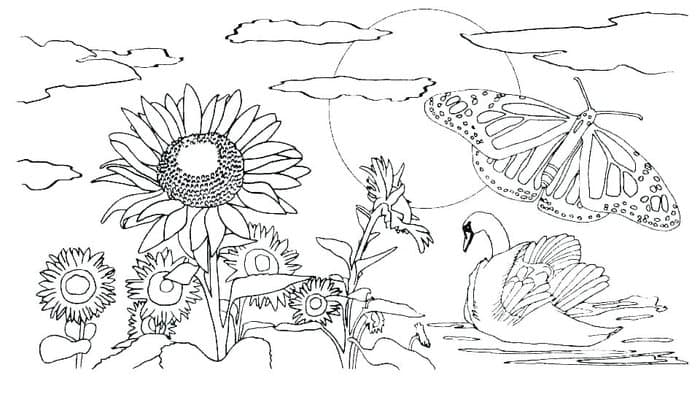 Free Spring Printable Coloring Pages