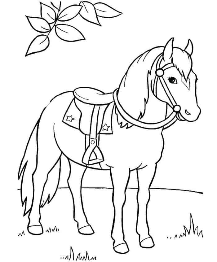 Full Page Horse Coloring Pages