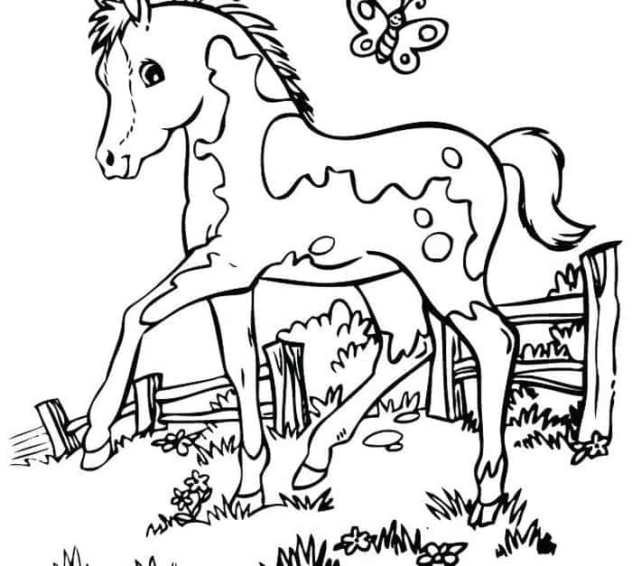 Fun Horse Coloring Pages