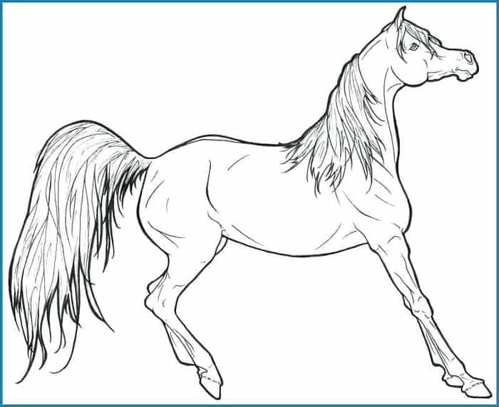 Galloping Horse Coloring Pages