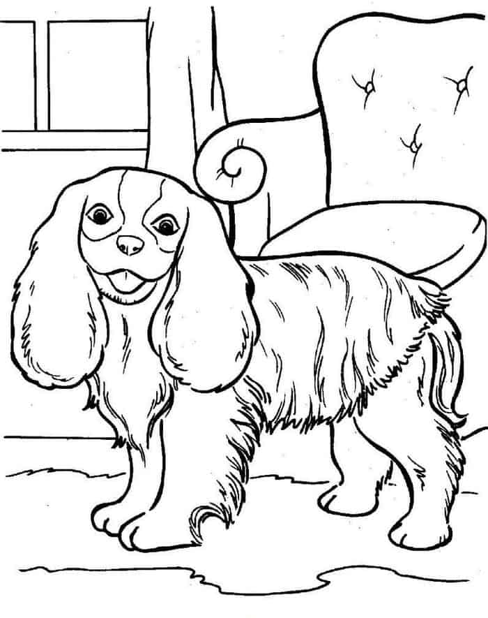 Girl Dog Coloring Pages