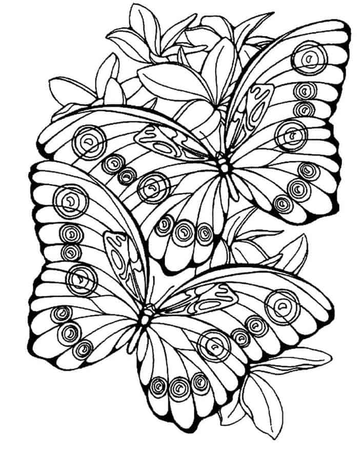 Hard Butterfly Coloring Pages
