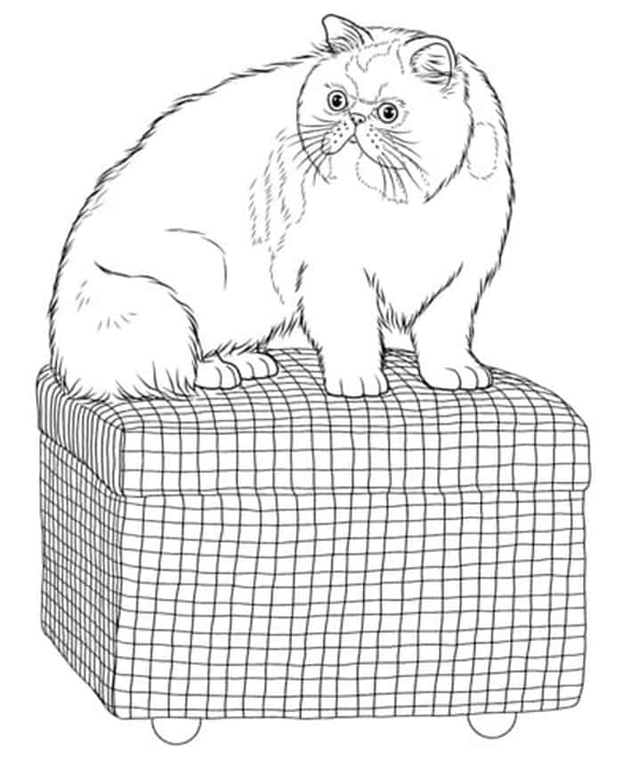 Hard Cat Coloring Pages