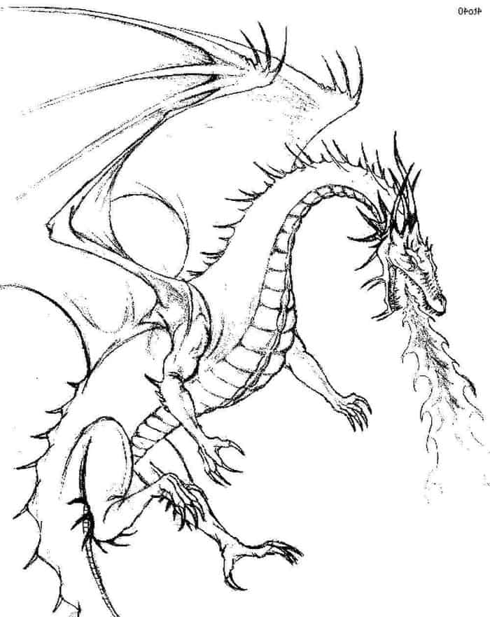 Harry Potter Dragon Coloring Pages