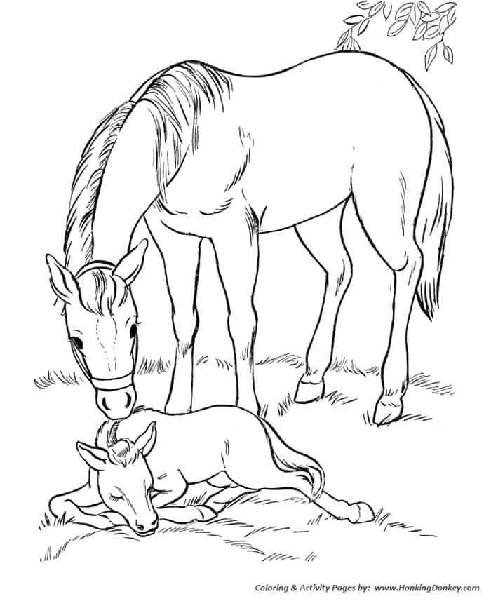 Horse And Foal Coloring Page