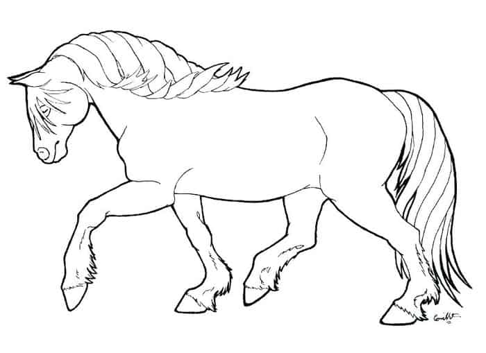 Horse Coloring Books