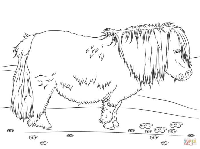 Horse Coloring Pages Printables