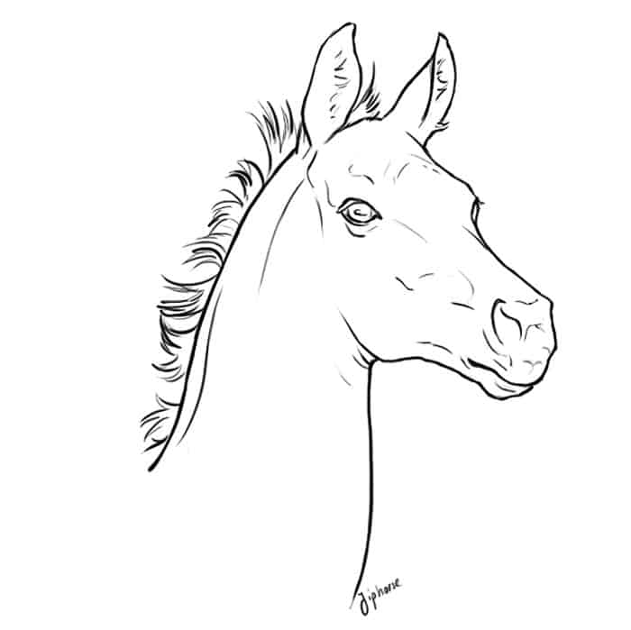 Horse Face Coloring Pages