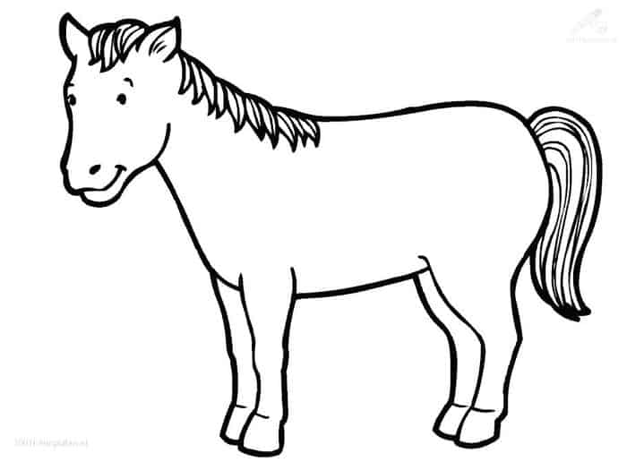 Horse For Coloring Pages
