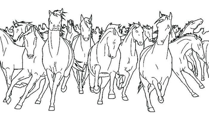 Horse Herd Coloring Pages