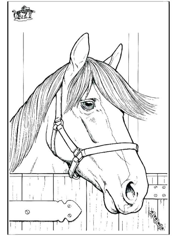 Horse Printables Coloring Pages