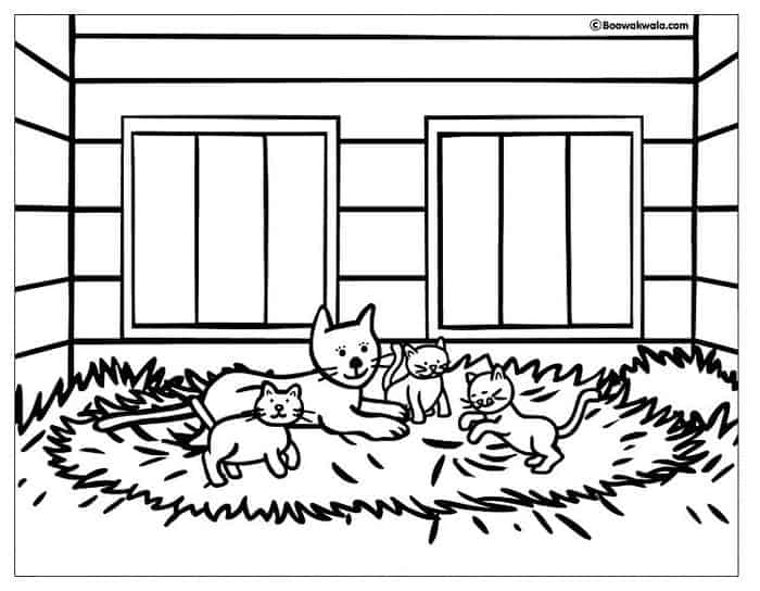 House Cat Coloring Pages
