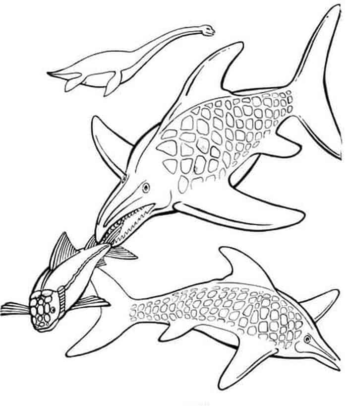 Ichthyosaurs Dinosaur Coloring Page