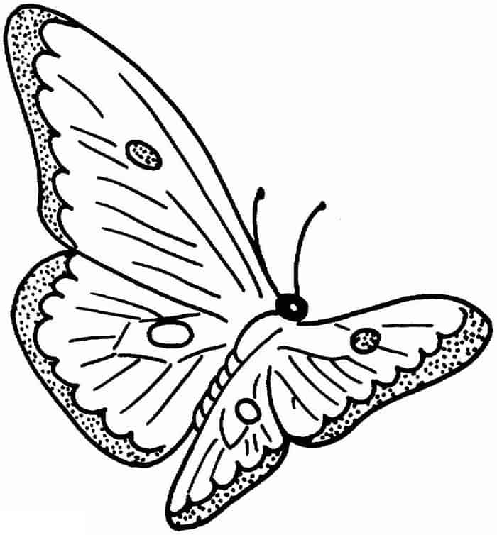 Intricate Butterfly Coloring Pages