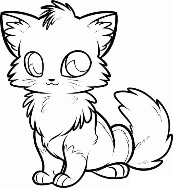 Kids Coloring Pages Cat