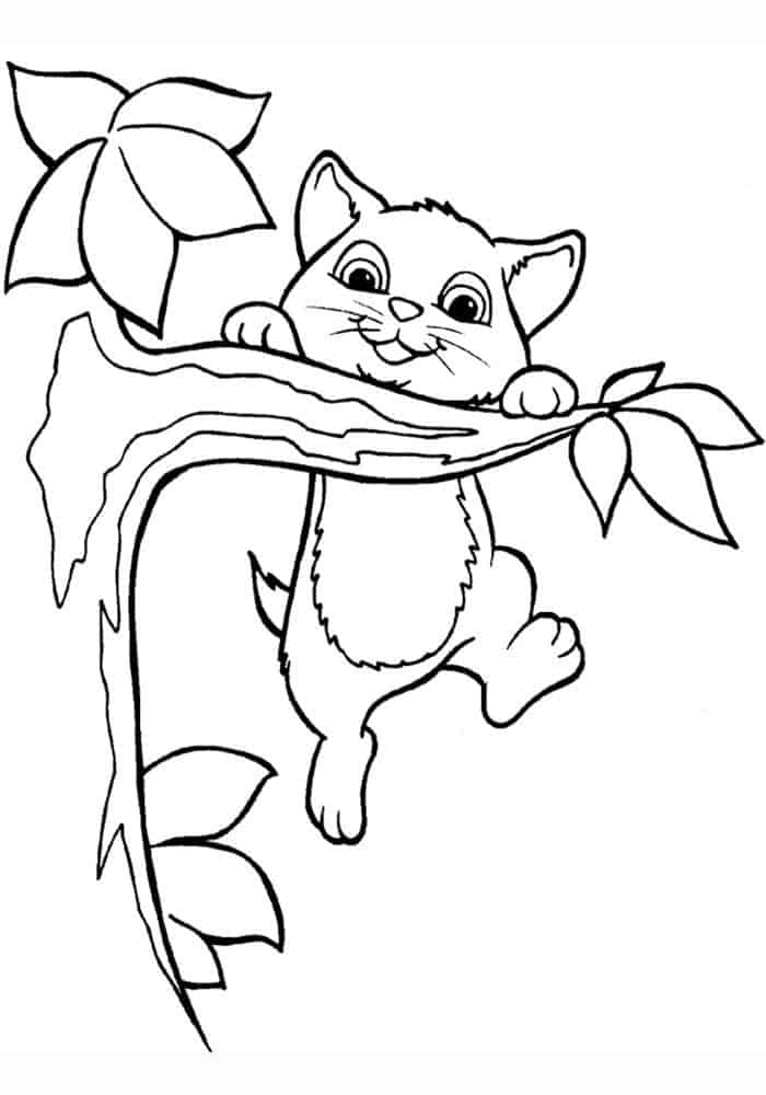 Kitten Climbing Tree Coloring Pages
