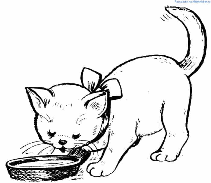 Kitten Eating Coloring Pages