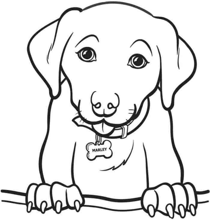 Lab Dog Coloring Pages