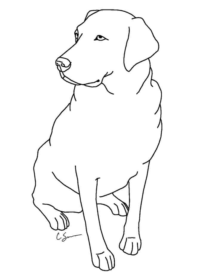Labrador Dog Coloring Pages