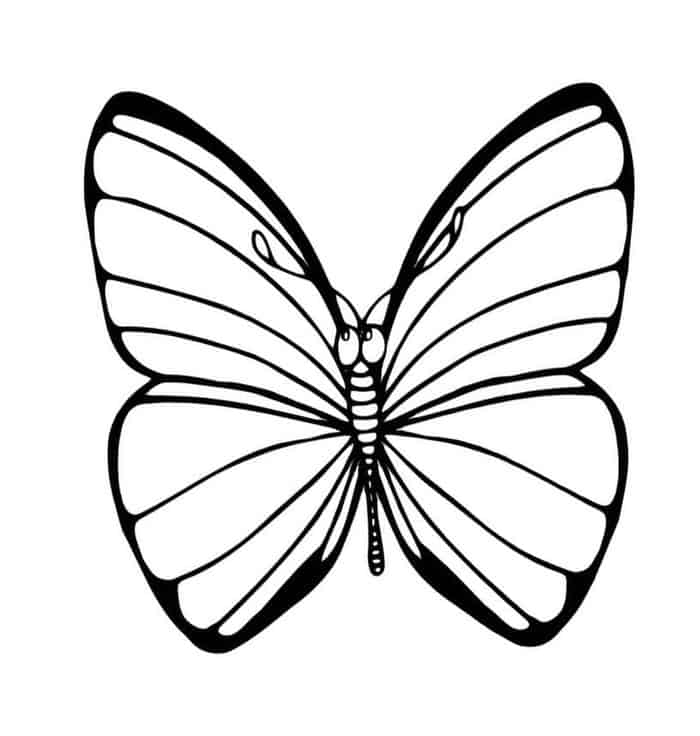 Monarch Butterfly Coloring Pages
