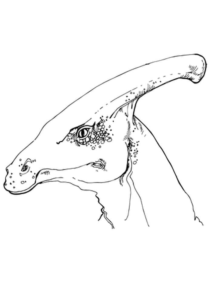 Parasaurolophus Dinosaur Head Coloring Page