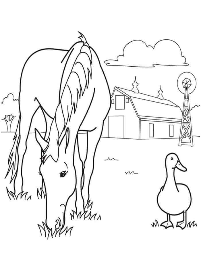 Pinto Horse Coloring Pages