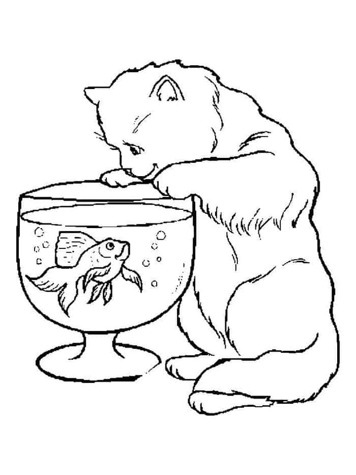 Printable Cat Coloring Pages For Kids