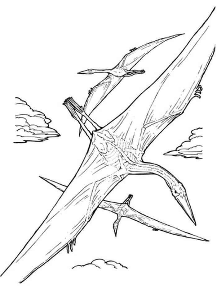 Quetzalcoatlus Pterosaur Coloring Page
