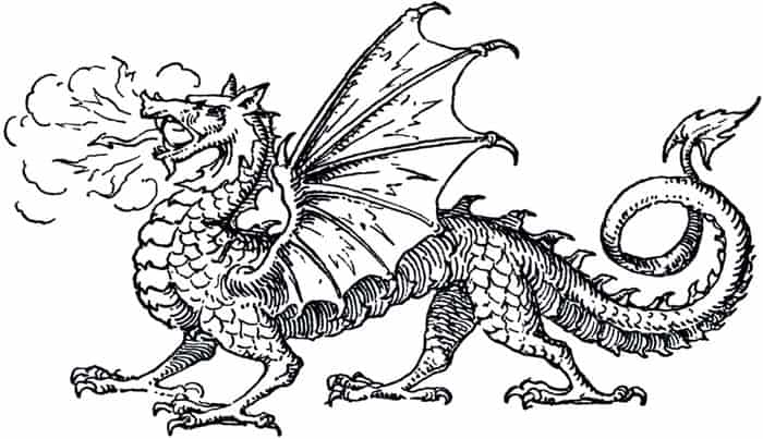 Realistic Dragon Coloring Pages For Adults