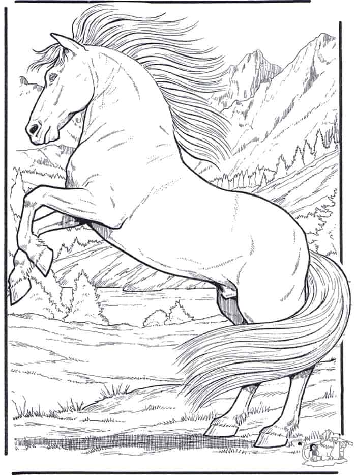 Realistic Horse Coloring Pages