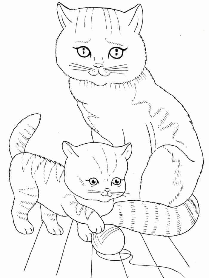 Realistic Kitten And Cat Coloring Pages