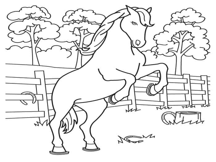 Rearing Horse Coloring Pages