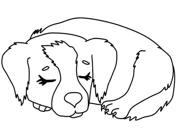 Sleeping Dog Coloring Pages