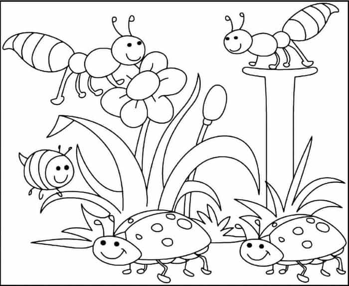 Spring Animal Coloring Pages